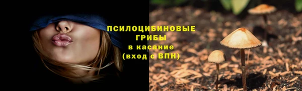 героин Алексин