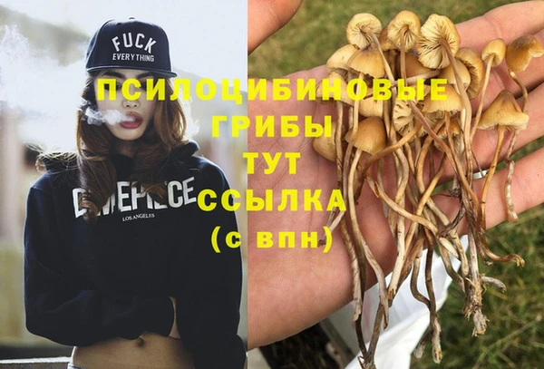 круглые Алзамай