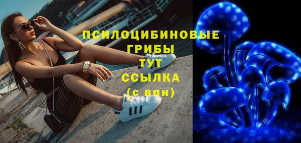 круглые Алзамай