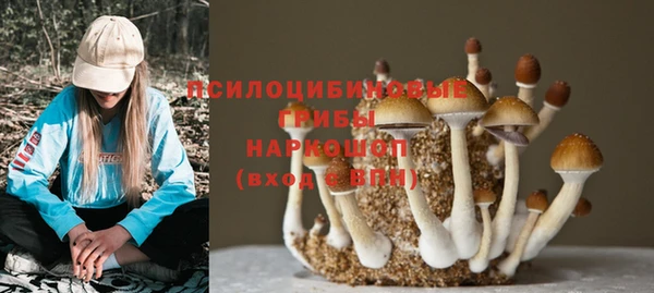 героин Алексин