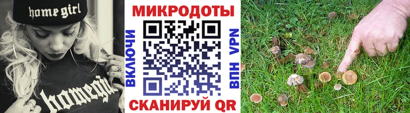 Купить где  Верея  Галлюциногенные грибы MAGIC MUSHROOMS 